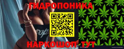 ALPHA PVP Будённовск