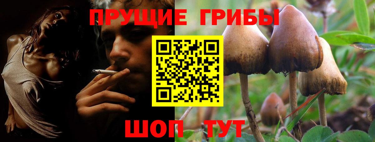 что такое   Галлюциногенные грибы Cubensis  Крымск  Вход с VPN  Галлюциногенные грибы Psilocybe 