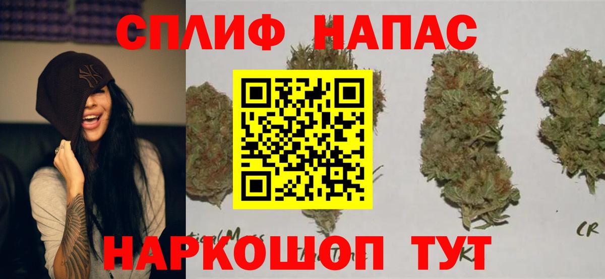Канабис конопля Крымск